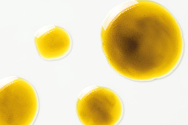 Les animaux possèdent aussi un système endocannabinoïde Les animaux possèdent aussi un système endocannabinoïde