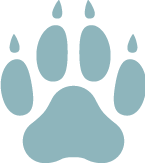 Friandises pour chiens Friandises pour chiens