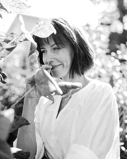 Sans flavono&iuml;des, sans terp&egrave;nes - seulement du CBD