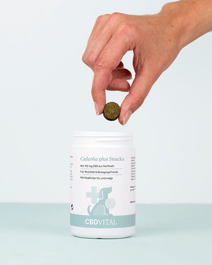 &Agrave; base de glucosamine, chondro&iuml;tine, r&eacute;sine d'encens, curcuma et MSM