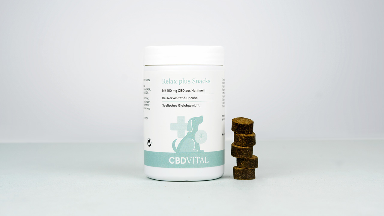 Friandises CBD pour chiens stressés Friandises CBD pour chiens stressés