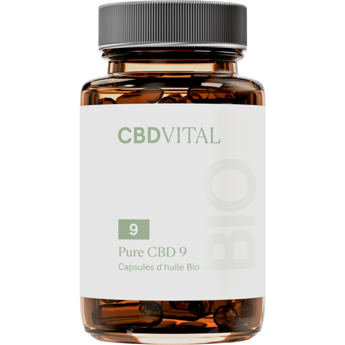 Chargement en cours...