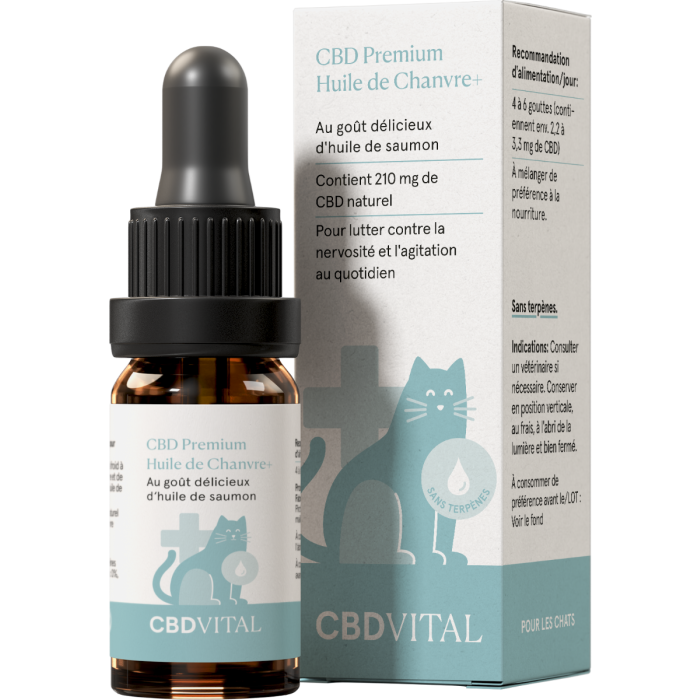 Chargement en cours...