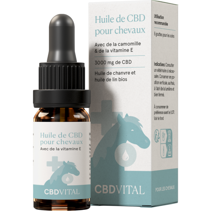 Chargement en cours...