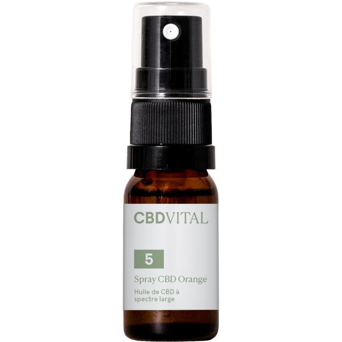 Chargement en cours...