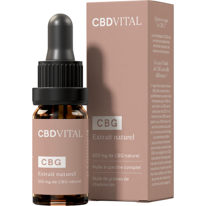 Chargement en cours...