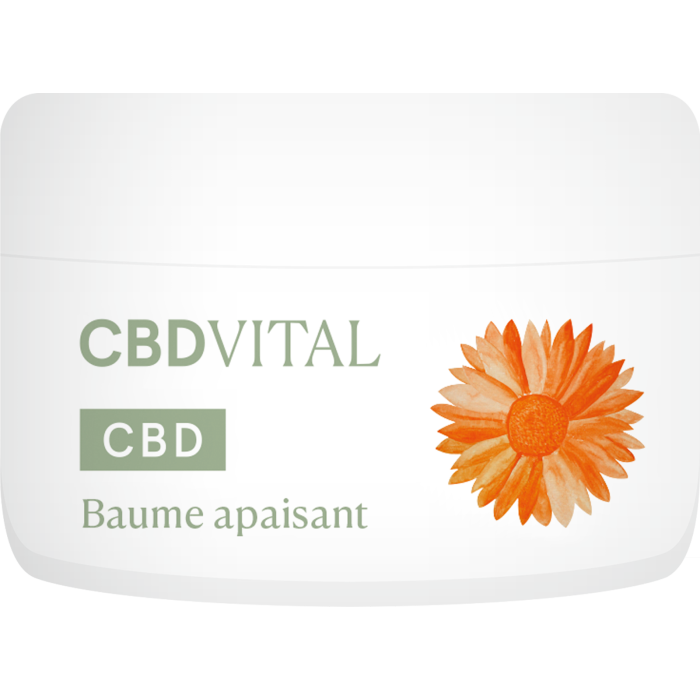 Chargement en cours...