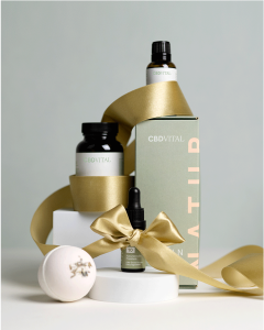 Joyeux No&euml;l - Carte cadeau