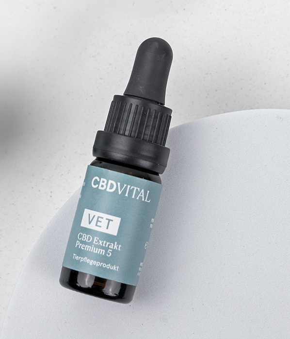 Huile de graines de chanvre BIO press&eacute;e &agrave; froid avec CBD