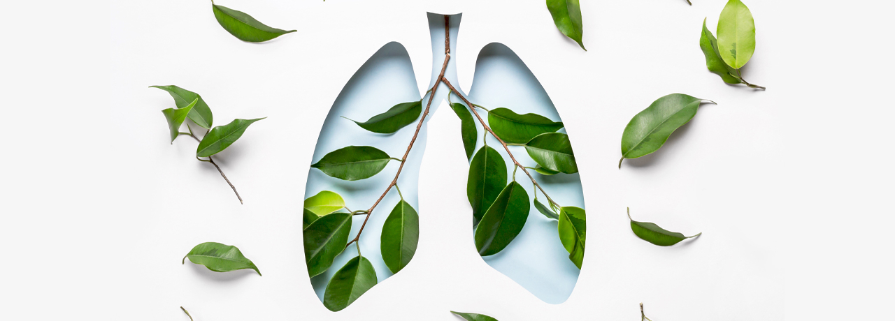 Arr&ecirc;ter de fumer avec le CBD 