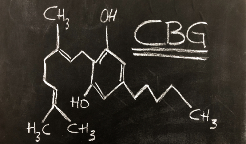 Qu'est ce que le CBG ? (cannabig&eacute;rol)