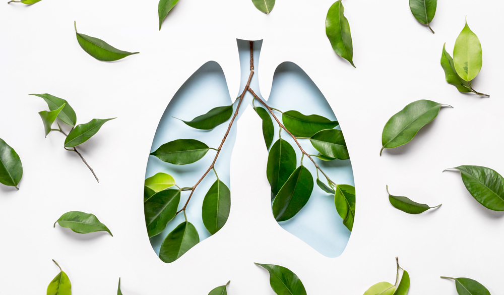 Arr&ecirc;ter de fumer avec le CBD 