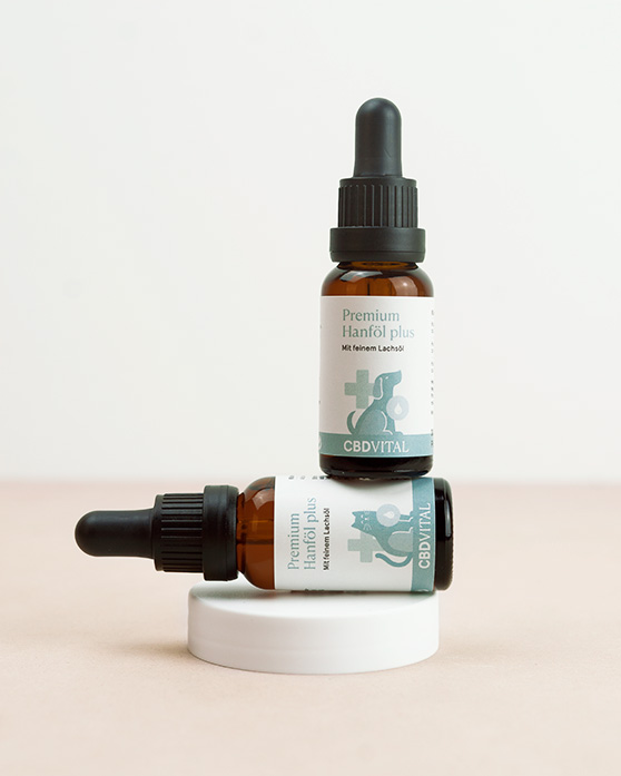 C'est la qualité qui compte C'est la qualité qui compte