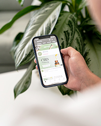 CBD R&eacute;seaux sociaux