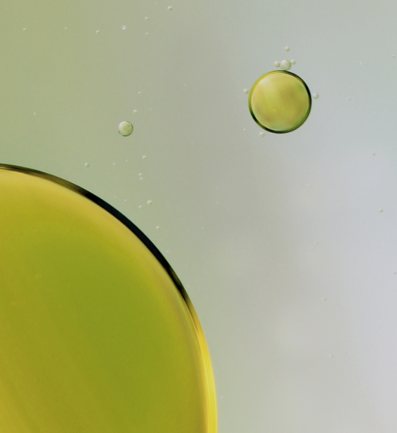 Le d&eacute;veloppement durable chez CBD VITAL