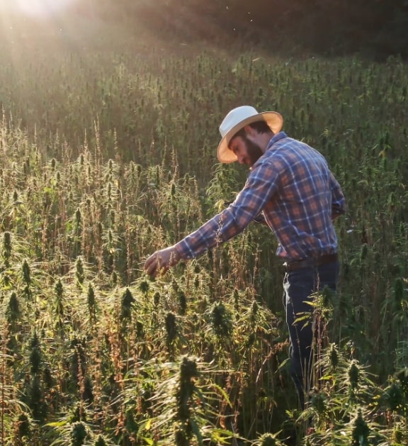 Agriculture responsable Agriculture responsable